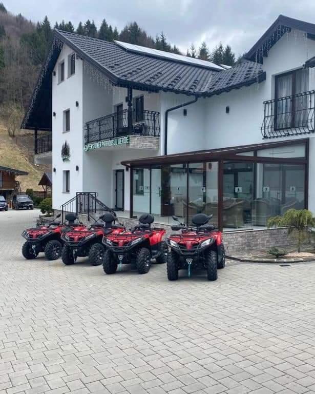 Pensiunea Paradisul Verde Moisei Eksteriør billede